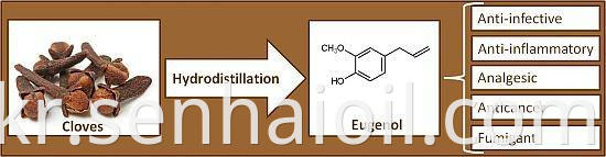 Eugenol